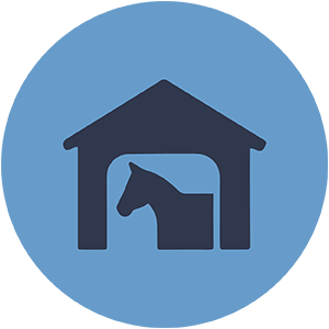 Kühllösungen für Pferdeställe